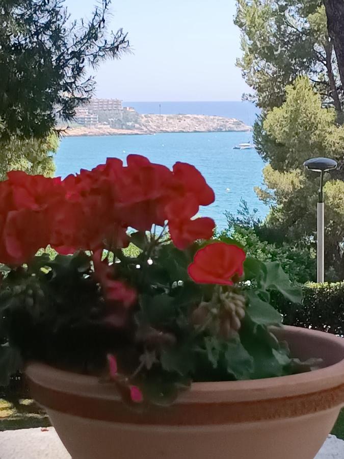 Beach & Flowers Free Parking Salou Luaran gambar